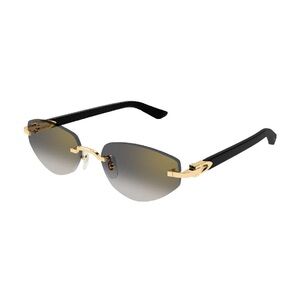 CARTIER ACETATE SUNGLASSES